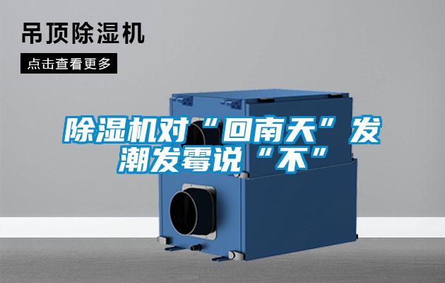 除濕機(jī)對(duì)“回南天”發(fā)潮發(fā)霉說“不”