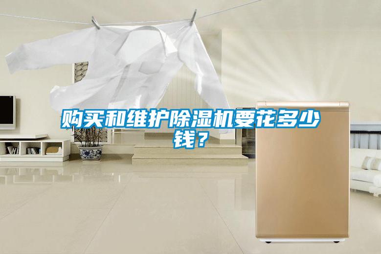 購(gòu)買和維護(hù)除濕機(jī)要花多少錢？