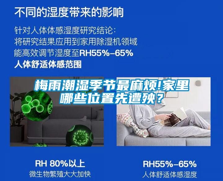 梅雨潮濕季節(jié)最麻煩!家里哪些位置先遭殃？