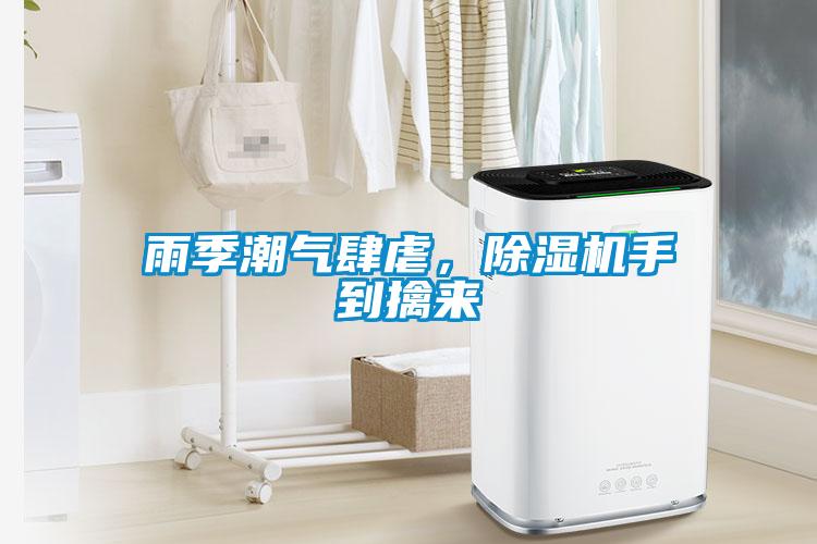 雨季潮氣肆虐，除濕機手到擒來