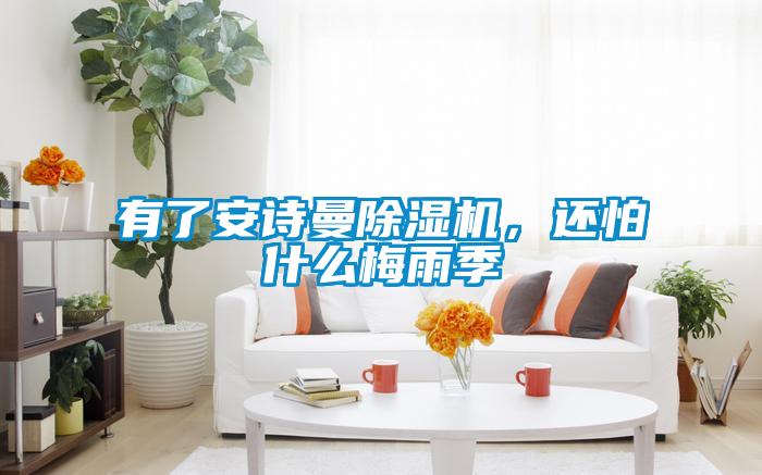 有了安詩(shī)曼除濕機(jī)，還怕什么梅雨季