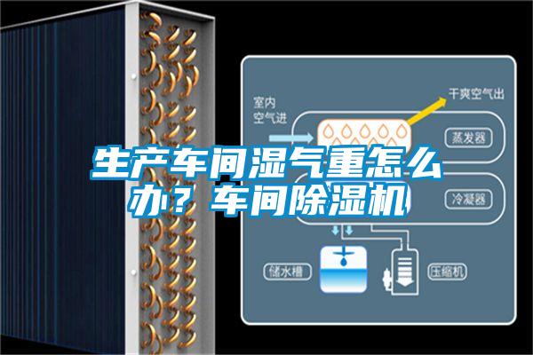 生產車間濕氣重怎么辦？車間除濕機