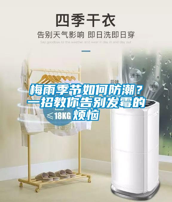 梅雨季節如何防潮？一招教你告別發霉的煩惱