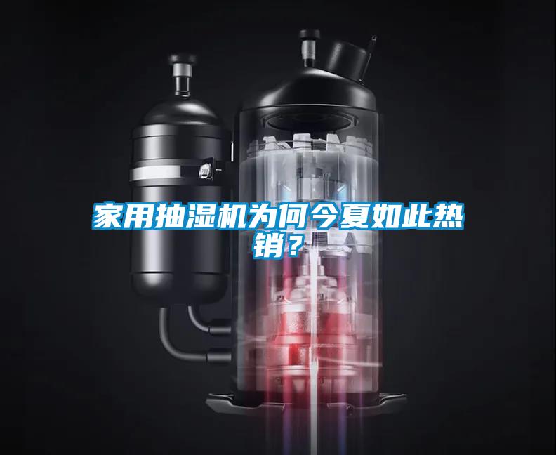 家用抽濕機為何今夏如此熱銷？