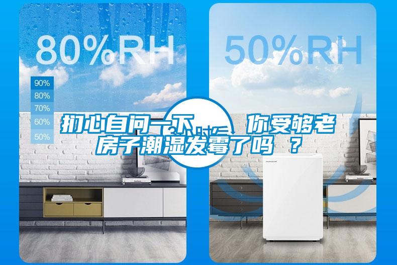 捫心自問(wèn)一下 ， 你受夠老房子潮濕發(fā)霉了嗎 ？