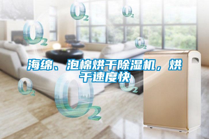 海綿、泡棉烘干除濕機，烘干速度快