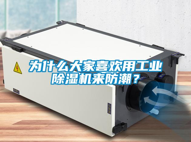 為什么大家喜歡用工業除濕機來防潮?