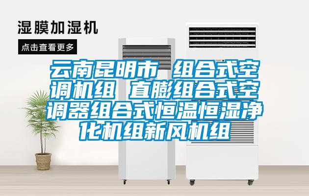 云南昆明市 組合式空調(diào)機組 直膨組合式空調(diào)器組合式恒溫恒濕凈化機組新風機組
