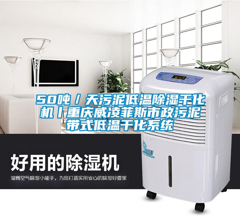 50噸／天污泥低溫除濕干化機丨重慶威凌菲斯市政污泥帶式低溫干化系統