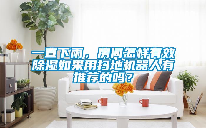一直下雨，房間怎樣有效除濕如果用掃地機器人有推薦的嗎？