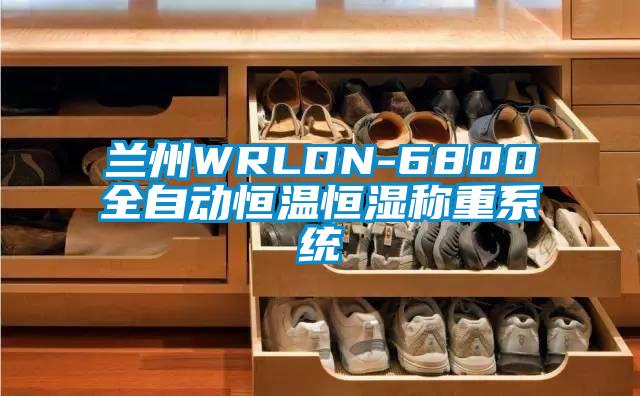 蘭州WRLDN-6800全自動恒溫恒濕稱重系統