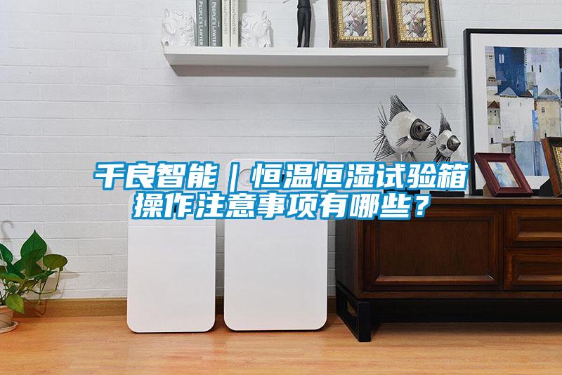 千良智能｜恒溫恒濕試驗箱操作注意事項有哪些？