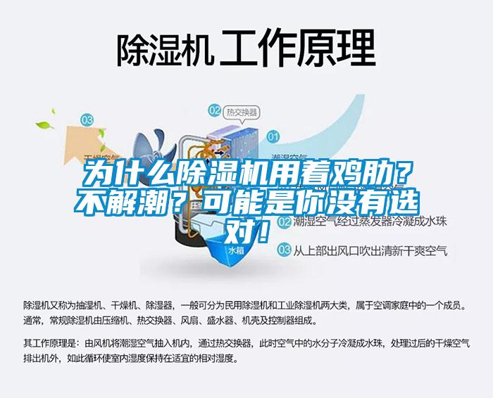 為什么除濕機用著雞肋？不解潮？可能是你沒有選對！