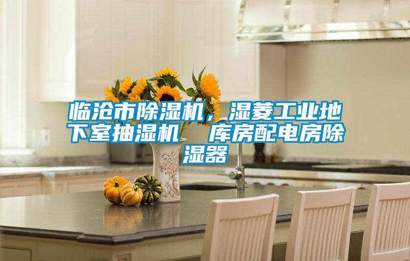 臨滄市除濕機(jī)，濕菱工業(yè)地下室抽濕機(jī)  庫房配電房除濕器