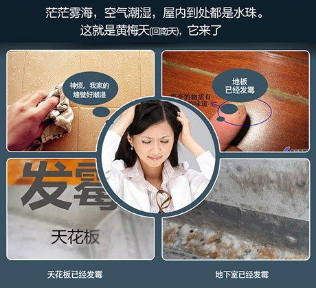 從五方面解讀工業除濕機、轉輪除濕機設備