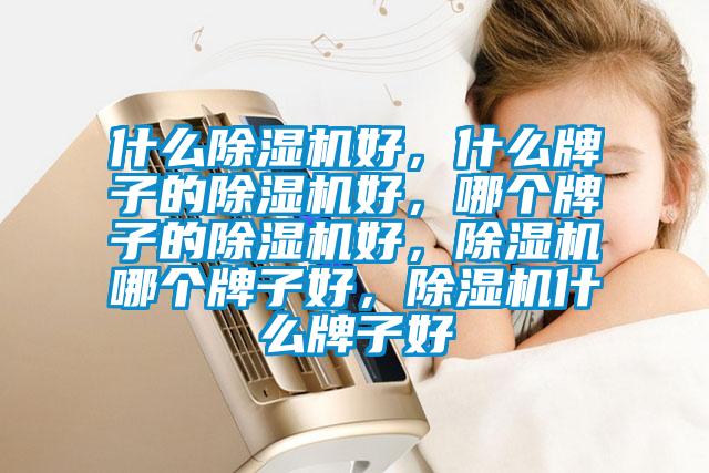 什么除濕機(jī)好，什么牌子的除濕機(jī)好，哪個牌子的除濕機(jī)好，除濕機(jī)哪個牌子好，除濕機(jī)什么牌子好