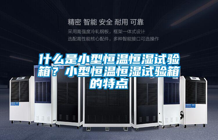 什么是小型恒溫恒濕試驗箱？小型恒溫恒濕試驗箱的特點