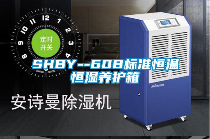 SHBY--60B標準恒溫恒濕養護箱