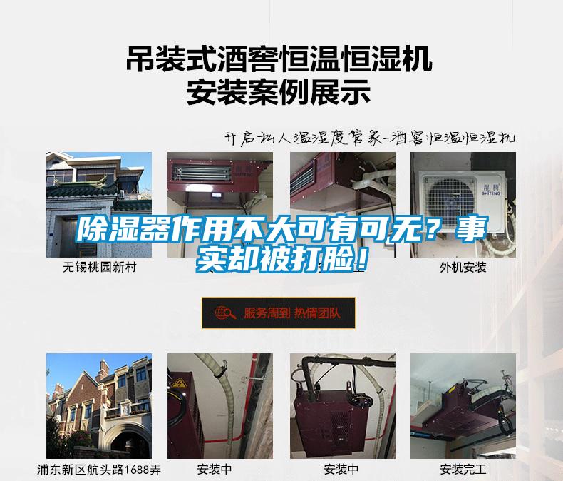 除濕器作用不大可有可無？事實卻被打臉！