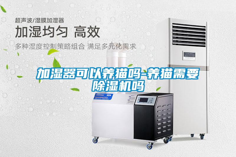加濕器可以養貓嗎-養貓需要除濕機嗎