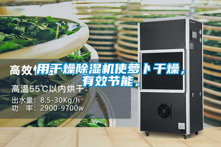 用干燥除濕機(jī)使蘿卜干燥，有效節(jié)能。