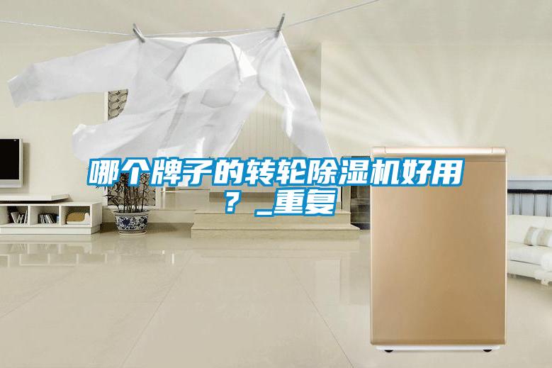 哪個牌子的轉輪除濕機好用？_重復
