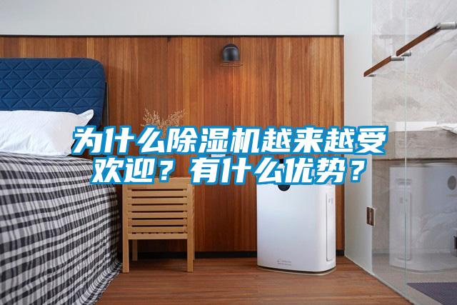 為什么除濕機越來越受歡迎？有什么優勢？