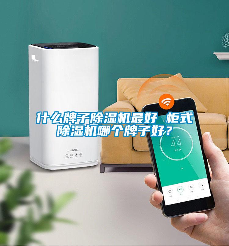 什么牌子除濕機(jī)最好 柜式除濕機(jī)哪個牌子好？