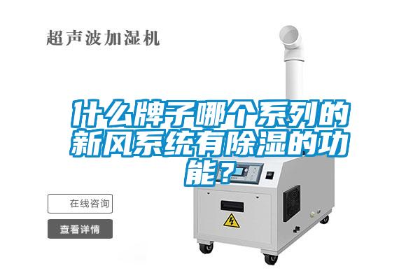 什么牌子哪個系列的新風系統有除濕的功能？
