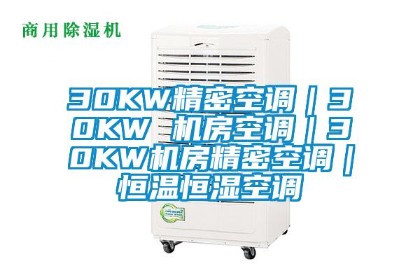 30KW精密空調|30KW 機房空調|30KW機房精密空調|恒溫恒濕空調