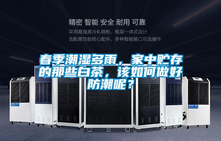 春季潮濕多雨,家中貯存的那些白茶,該如何做好防潮呢?