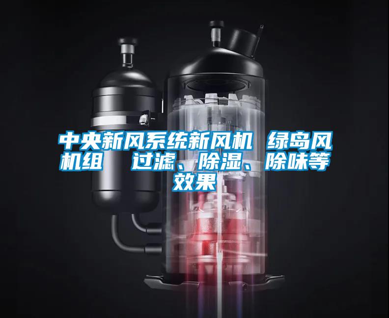 中央新風(fēng)系統(tǒng)新風(fēng)機(jī) 綠島風(fēng)機(jī)組 過濾、除濕、除味等效果