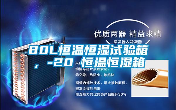 80L恒溫恒濕試驗箱,-20℃恒溫恒濕箱