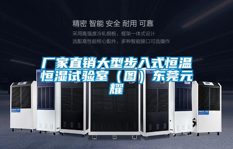 廠家直銷大型步入式恒溫恒濕試驗室(圖)東莞元耀