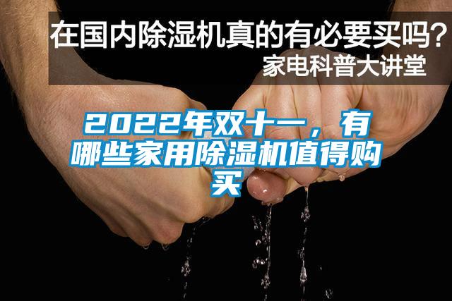 2022年雙十一，有哪些家用除濕機(jī)值得購(gòu)買(mǎi)