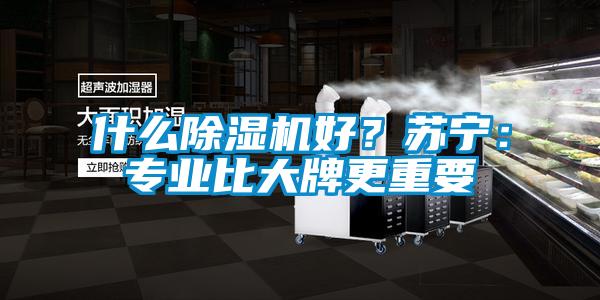 什么除濕機好？蘇寧：專業比大牌更重要