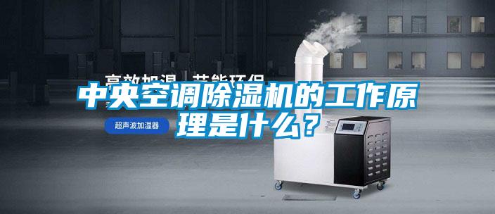 中央空調除濕機的工作原理是什么？