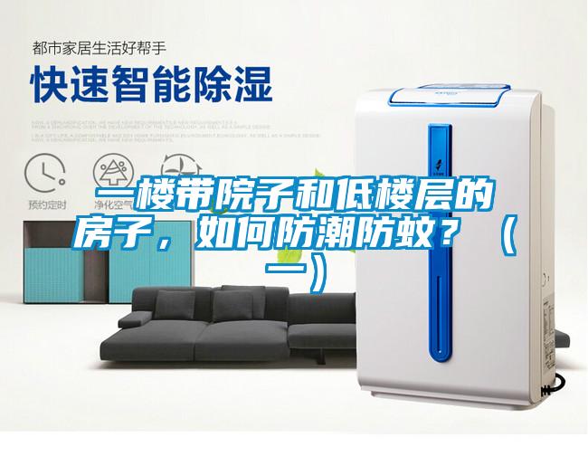 一樓帶院子和低樓層的房子,如何防潮防蚊?(一)