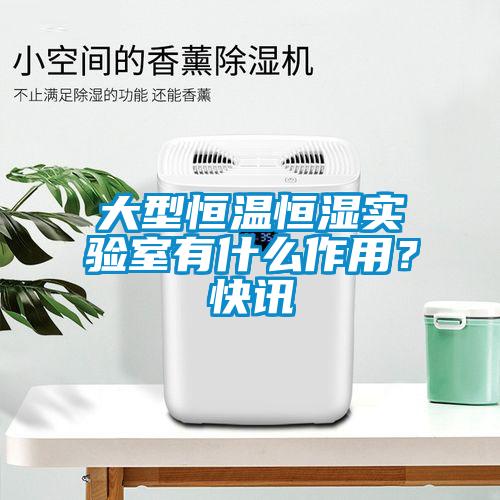 大型恒溫恒濕實驗室有什么作用？快訊