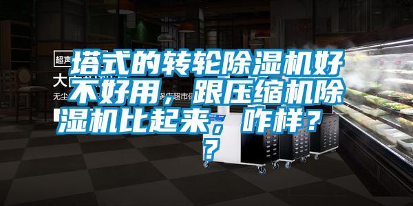 塔式的轉輪除濕機好不好用，跟壓縮機除濕機比起來，咋樣？ ？