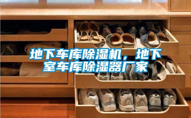 地下車庫除濕機，地下室車庫除濕器廠家