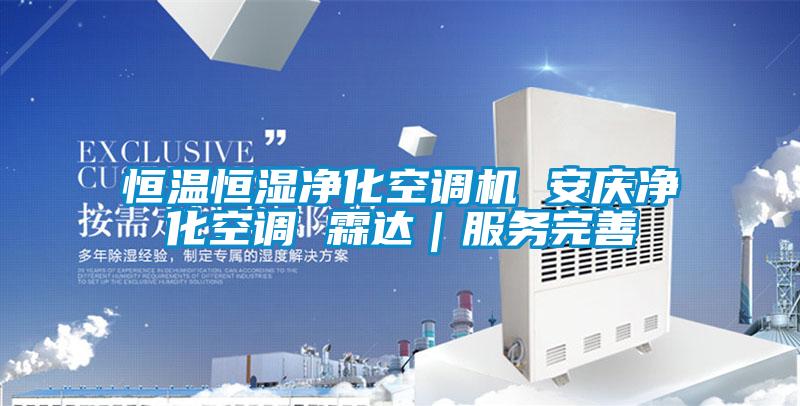 恒溫恒濕凈化空調(diào)機 安慶凈化空調(diào) 霖達(dá)|服務(wù)完善