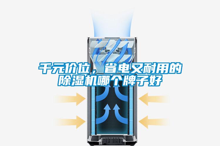 千元價位，省電又耐用的除濕機哪個牌子好