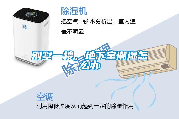 別墅一樓，地下室潮濕怎么辦