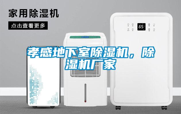 孝感地下室除濕機，除濕機廠家
