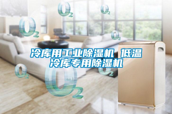 冷庫(kù)用工業(yè)除濕機(jī) 低溫冷庫(kù)專(zhuān)用除濕機(jī)