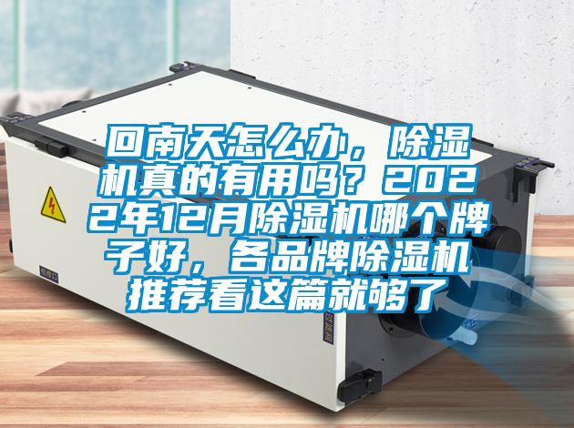 回南天怎么辦，除濕機真的有用嗎？2022年12月除濕機哪個牌子好，各品牌除濕機推薦看這篇就夠了