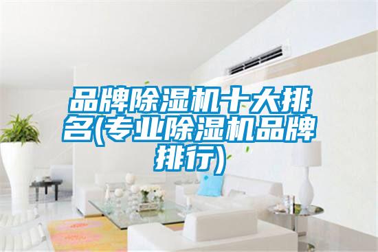 品牌除濕機十大排名(專業除濕機品牌排行)