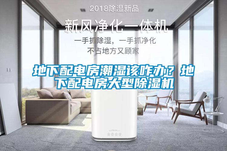 地下配電房潮濕該咋辦？地下配電房大型除濕機(jī)