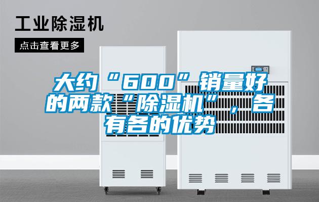 大約“600”銷量好的兩款“除濕機”,各有各的優勢